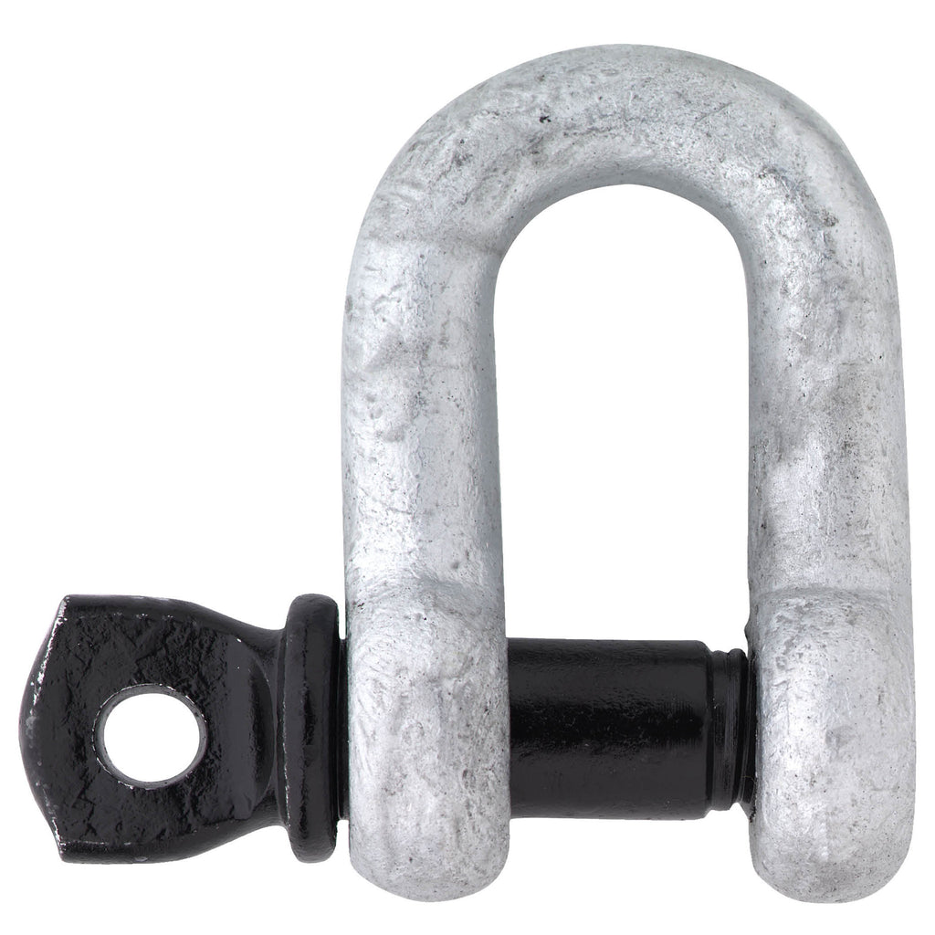 Fed Spec D-Shackle With Screw Pin